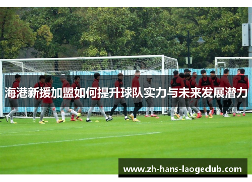 海港新援加盟如何提升球队实力与未来发展潜力