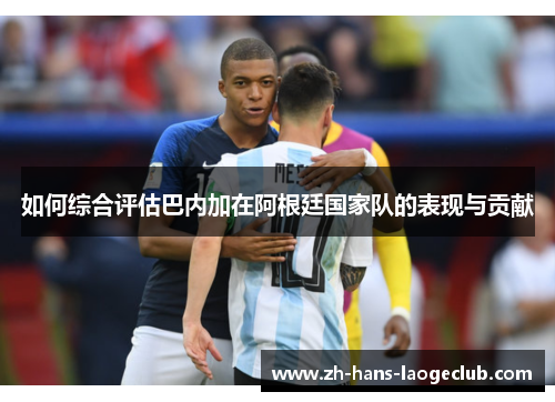 如何综合评估巴内加在阿根廷国家队的表现与贡献