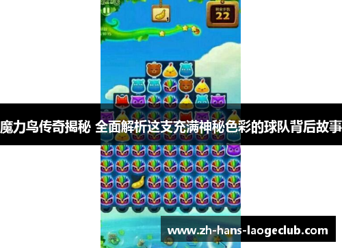 魔力鸟传奇揭秘 全面解析这支充满神秘色彩的球队背后故事