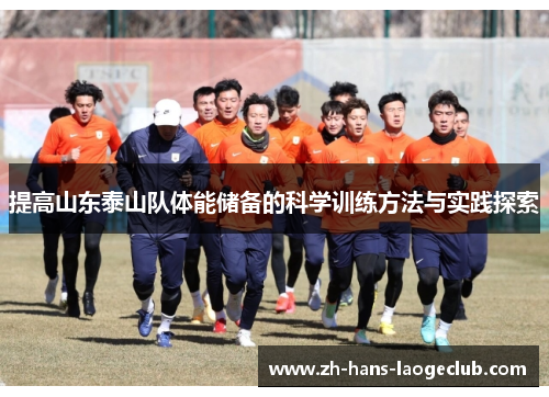 提高山东泰山队体能储备的科学训练方法与实践探索