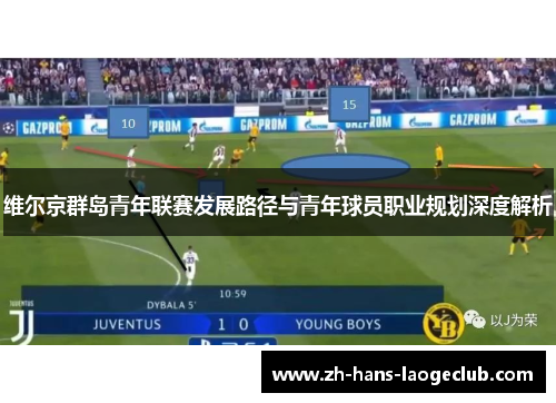 维尔京群岛青年联赛发展路径与青年球员职业规划深度解析